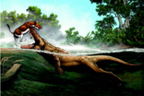 ambulocetus.jpg