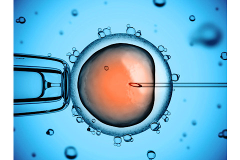 CRISPR IVF - Shutterstock