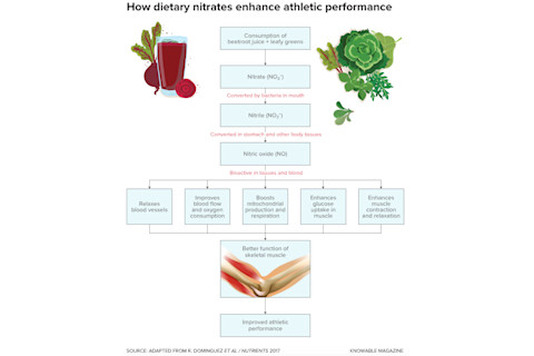Athletic-Performance.jpg