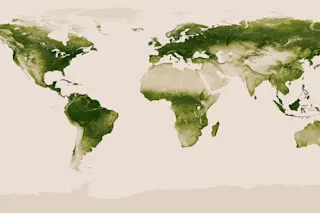 green-map-of-earth.jpg