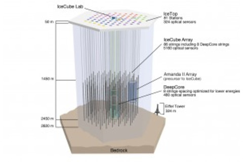 icecubeanatomy-300x205.jpg