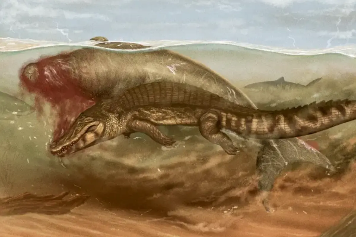 Ancient Sea Cow Fossil Shows Rare Evidence of an Attack by Multiple ...