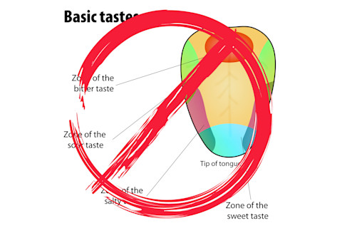 tongue.jpg