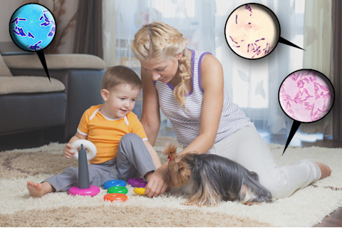home-microbes.jpg