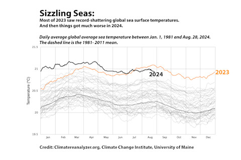 Sizzling Seas