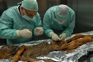 otzi_3.jpg