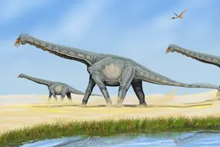 Alamosaurus Sauropod - Wikimedia