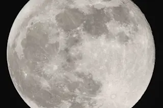 Full Moon - Shutterstock