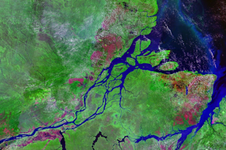 Mouths_of_amazon_geocover_1990.png