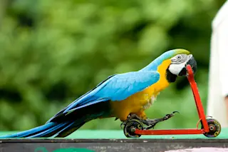 shutterstock_6845980.jpg