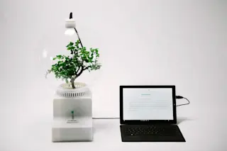 3060347-inline-s-1-microsoft-teaches-plants-to-talk-with-project-florence-1024x683.jpg