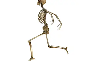 shutterstock_244050448.jpg