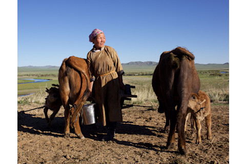 woman-with-cows.jpg