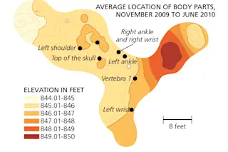bodyparts.jpg