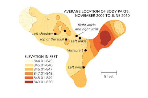 bodyparts.jpg