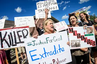 cecilprotest.jpg
