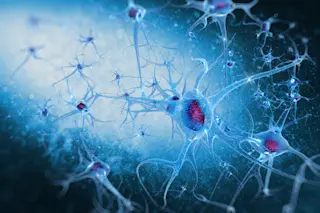 neurons.jpg
