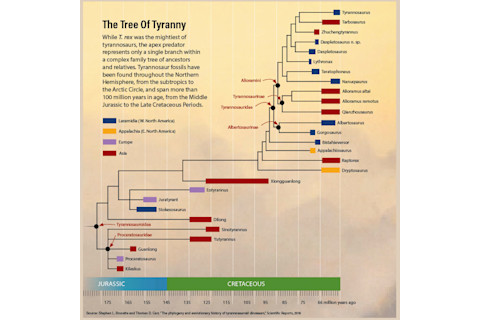 Tyrannosaur Family Tree - Bishop/Discover