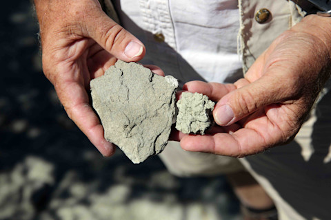 Alan Titus Rocks - Jake Bacon