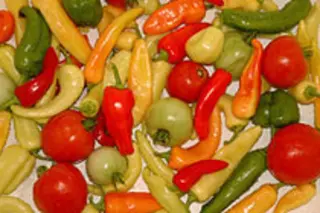 peppers-tomatoes.jpg