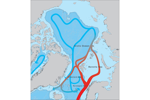 arctic-ocean-currents_en.jpg