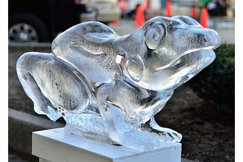 ice-frog.jpg