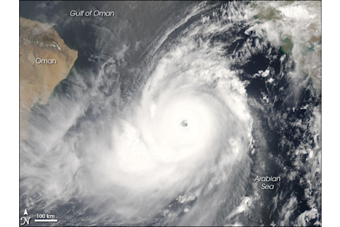 gonu_amo_2007155.jpg