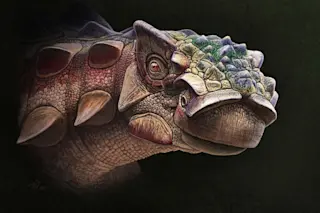 Akainacephalus-head-study-by-Andrey-Atuchin-textured-backgroundweb_1-1024x838.jpg