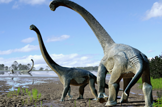 Savannasaurus-elliottorum-Travis-R-Tischler-1024x724.png