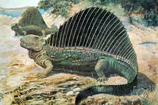 DimetrodonKnight.jpg