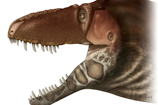 2-integument-reconstruction.png