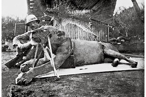Colonel_Patterson_with_Tsavo-Lion.jpg