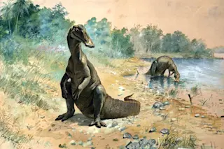 Knight_hadrosaurs.jpg