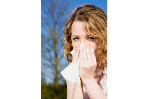 sneeze220.jpg