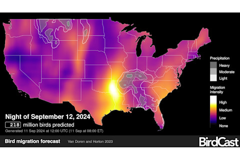 BirdCast migratory bird forecast