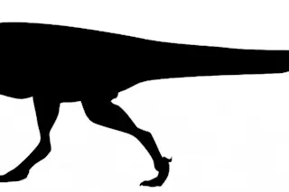 154151-1024x304.jpg