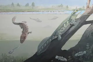 headerjpg.jpg
