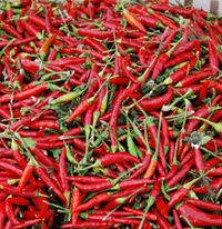 chilis220.gif