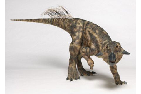 psittacosaur.jpg