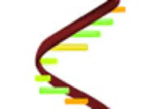 rna.jpg