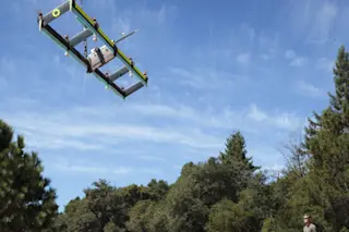 kite1.jpg