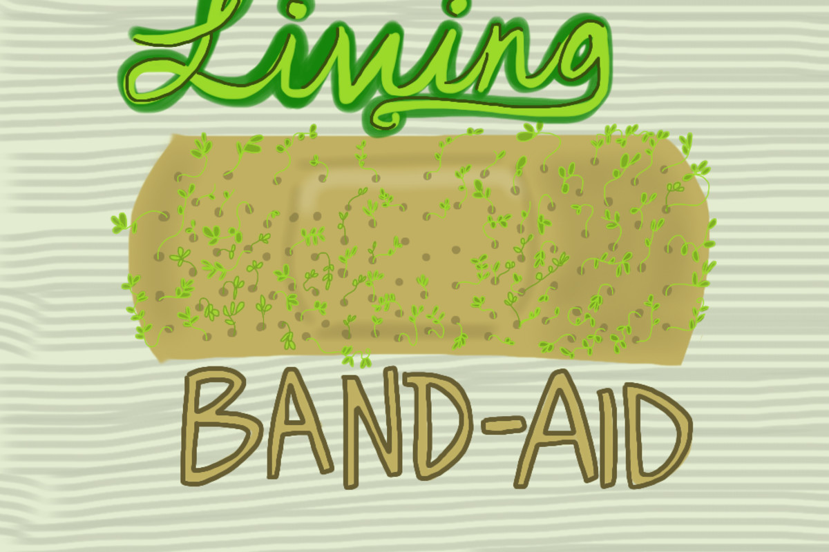 Frankentissue: How to Print an Organ on Your Inkjet | Discover