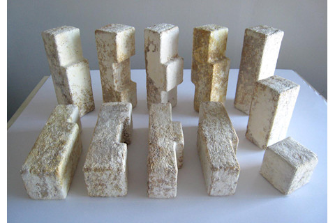 fungus-bricks.jpg