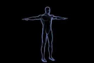 Enitre structure of human body composed of many different types of cells 