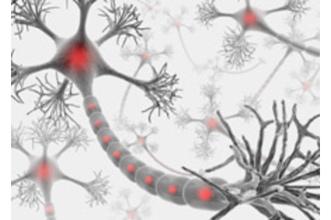 neuron.jpg