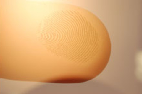 fingerprint.jpg