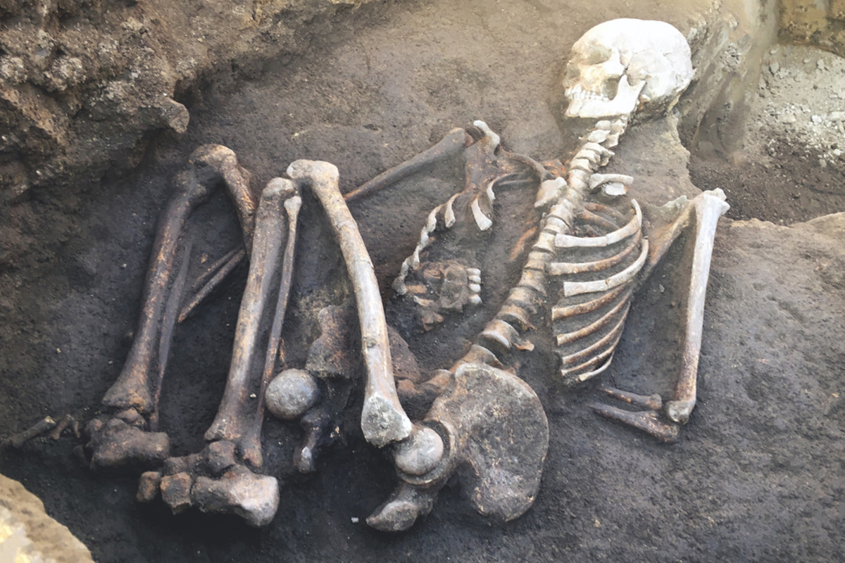 How Giant Skeletons Became the Ultimate Hoax | Discover Magazine