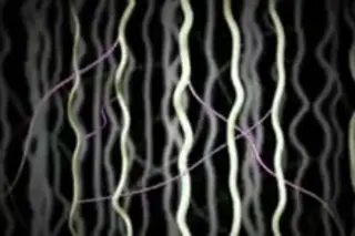 nanotube-stretchiness.jpg