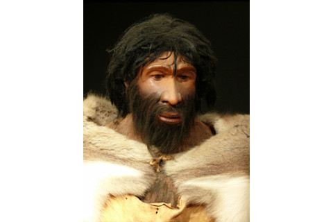 NeanderthalMan.jpg