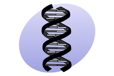 genetics.jpg